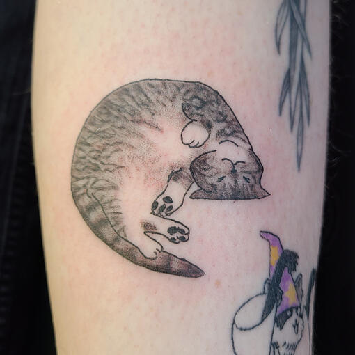 black and grey tattoo of a sleeping tabby cat.